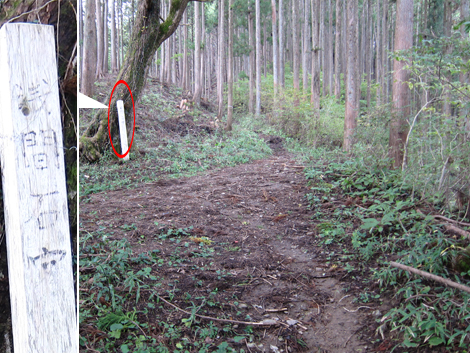 20191031hike (268)